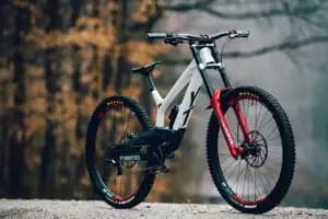 Вилка RockShox BoXXer Ultimate Charger2.1 R - 29", вісь Boost 20x110, 200mm, Червоний, DebonAir