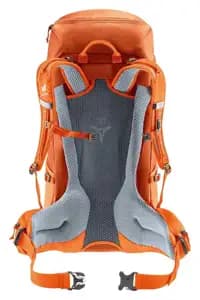 Рюкзак DEUTER Futura 32 колір 9907 chestnut-mandarine