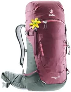 Рюкзак DEUTER Rise Lite 26 SL колір 5207 maron-ivy (зразок)