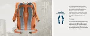 Рюкзак DEUTER Stepout 22 колір 9206 chestnut-ivy