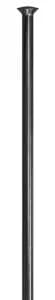 Шприхи DT SWISS Сhampion Straight pull 2.0 x 310мм х 100шт (Чорний)