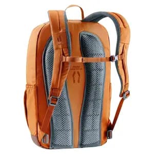 Рюкзак DEUTER Gogo колір 6616 chestnut-umbra