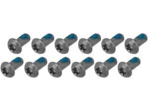 Болти ротора SRAM - Titanium T25, Silver Bolts (12шт)