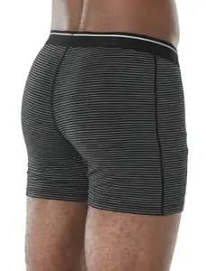 Труси ICEBREAKER Anatomica Boxers Mens Gritstone HTHR S