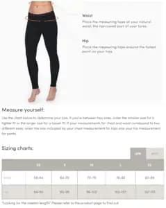 Труси ICEBREAKER Siren Hipkini WMN GRITSTONE-013 XS