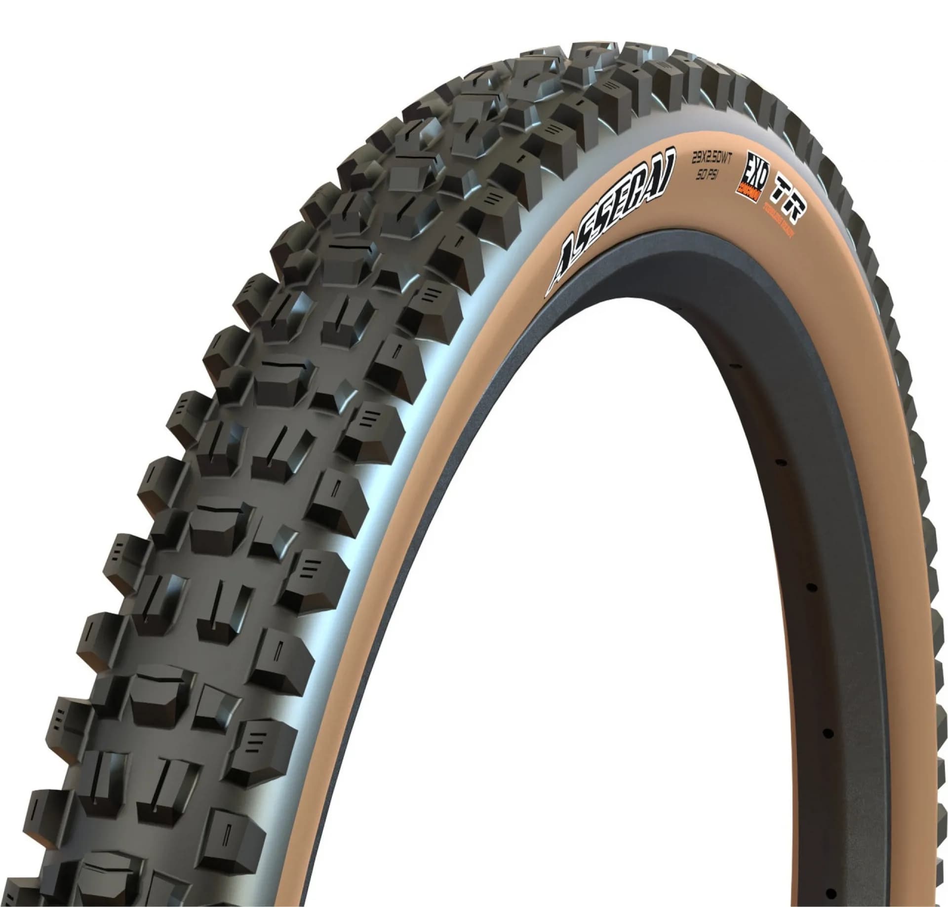 Покришка MAXXIS ASSEGAI 29X2.50WT TPI-60 Foldable EXO/TR/TANWALL