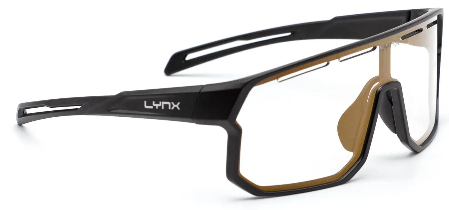 Окуляри LYNX Bismarck PH B, matt black/#1 smoke photochromic with gold revo