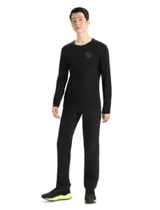 Термофутболка з довгим рукавом ICEBREAKER 200 Oasis LS Crewe Alps 3D MEN BLACK S
