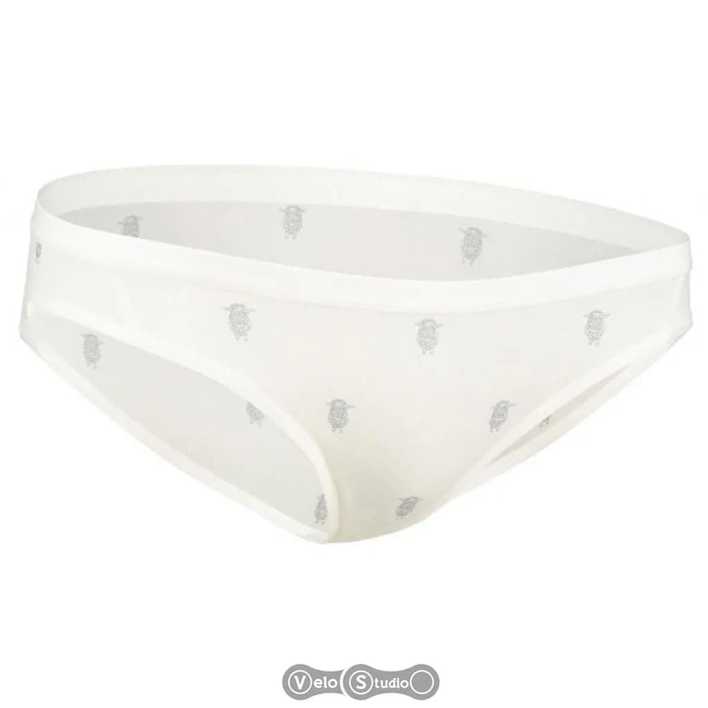 Труси ICEBREAKER Siren Bikini WMN arena snow/black XS