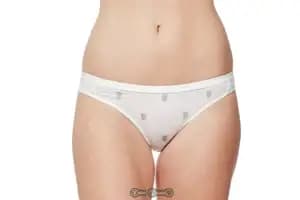 Труси ICEBREAKER Siren Bikini WMN arena snow/black XS