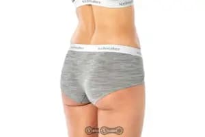 Труси ICEBREAKER Sprite Hot pants WMN Metro HTHR M