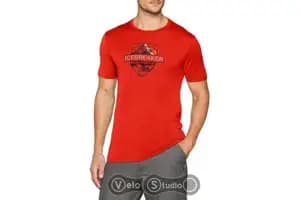 Футболка ICEBREAKER Tech Lite SS Crewe Alpine Crest CHILI RED L