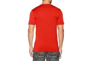 Футболка ICEBREAKER Tech Lite SS Crewe Alpine Crest CHILI RED L