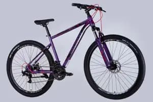 Велосипед ST 29" Discovery TREK DD FR рама-19" фіолетовий 2025