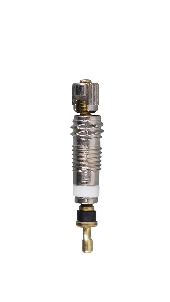 Серцевина для ніпеля Schwalbe FV